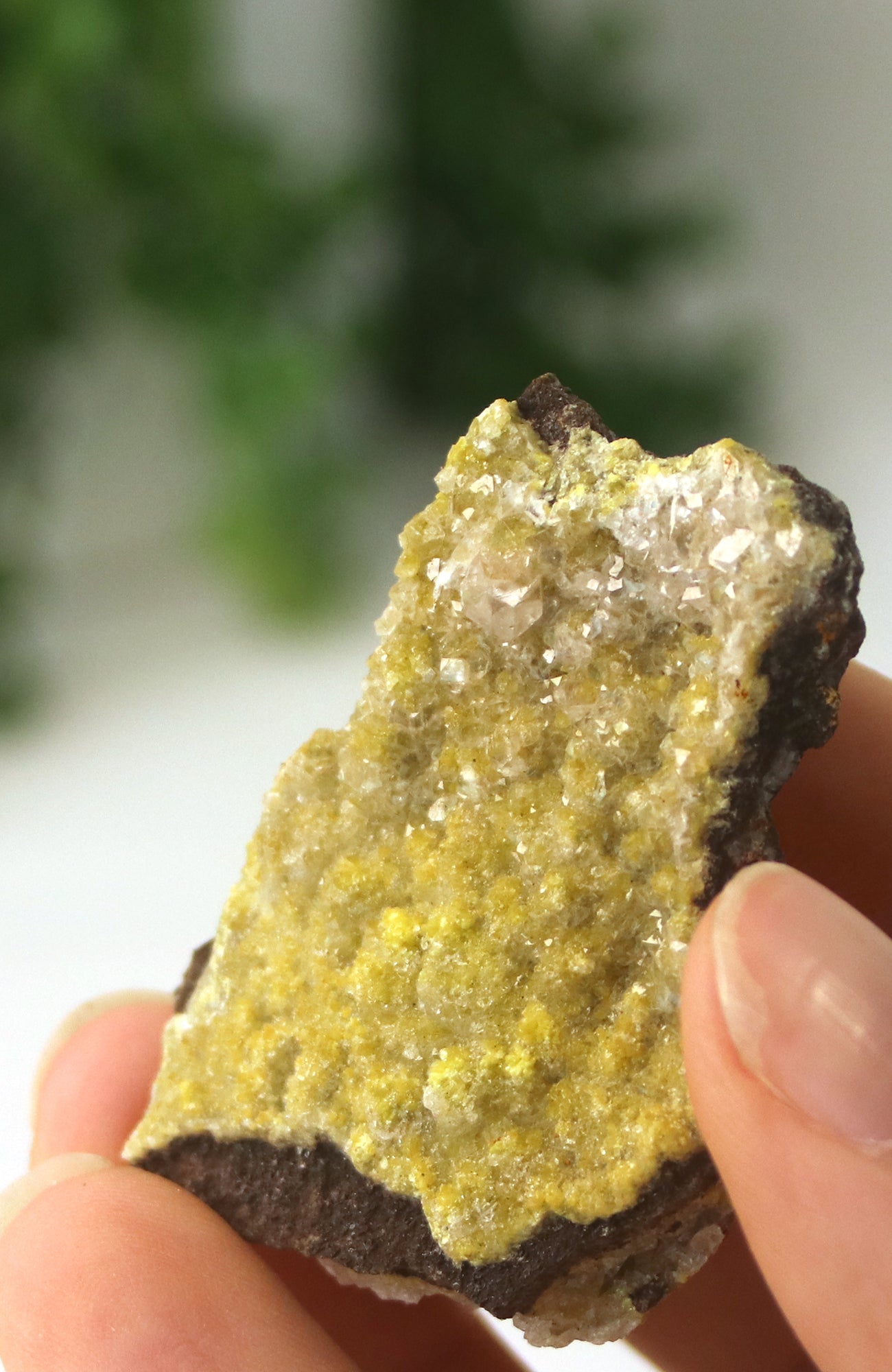 Mimetite Specimen